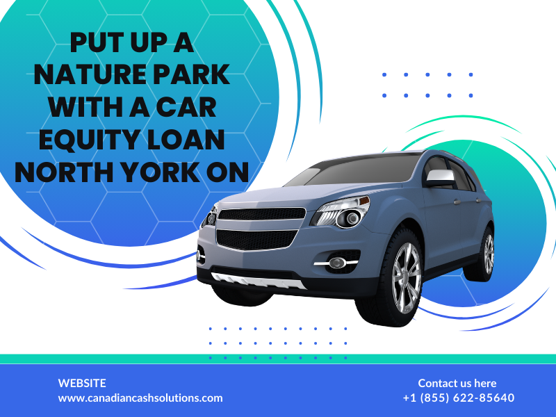 Put Up a Nature Park with a Car Equity Loan North York ON